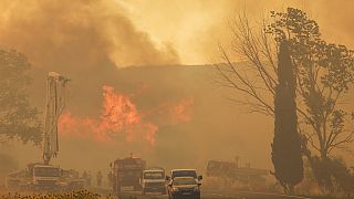 Vento agrava incêndio florestal na Turquia