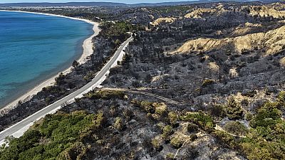 An aerial shot shows part of the extinguished wildfire area at the Anzac Cove beach, the site of World War I landing of the ANZACs (Australian and New Zealand Army Corps).