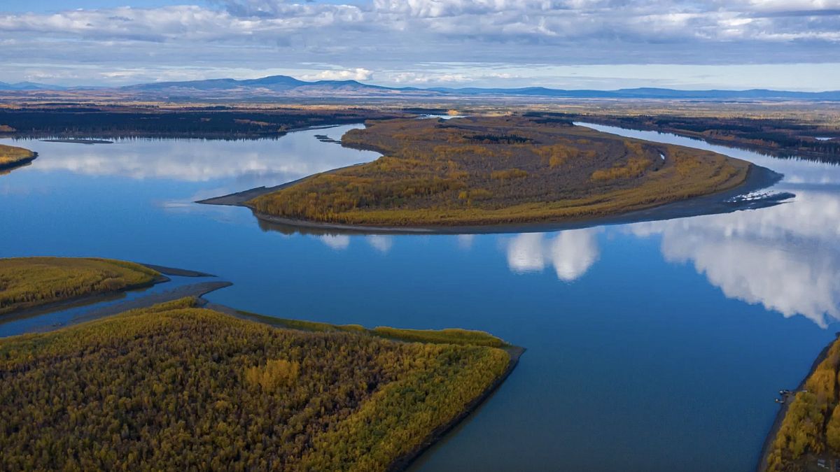 Yukon Nehri, Alaska'daki Stevens Köyü'nün yanından geçiyor.