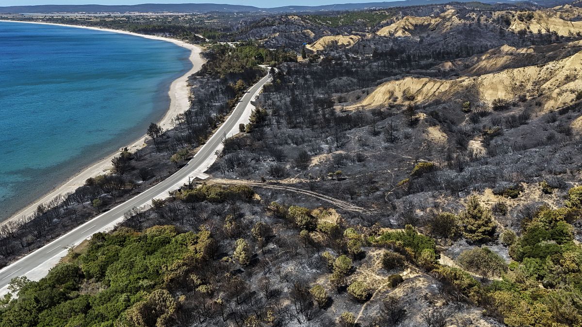 Une vue aérienne montre une partie de la zone de feu de forêt éteinte sur la plage d'Anzac Cove près de Çanakkale, le 16 août 2024.