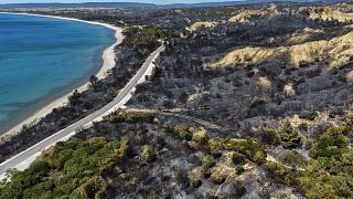 Egy légi felvétel mutatja az eloltott erdőtűz területének egy részét az Anzac Cove strandon, Çanakkale közelében, 2024. augusztus 16-án.