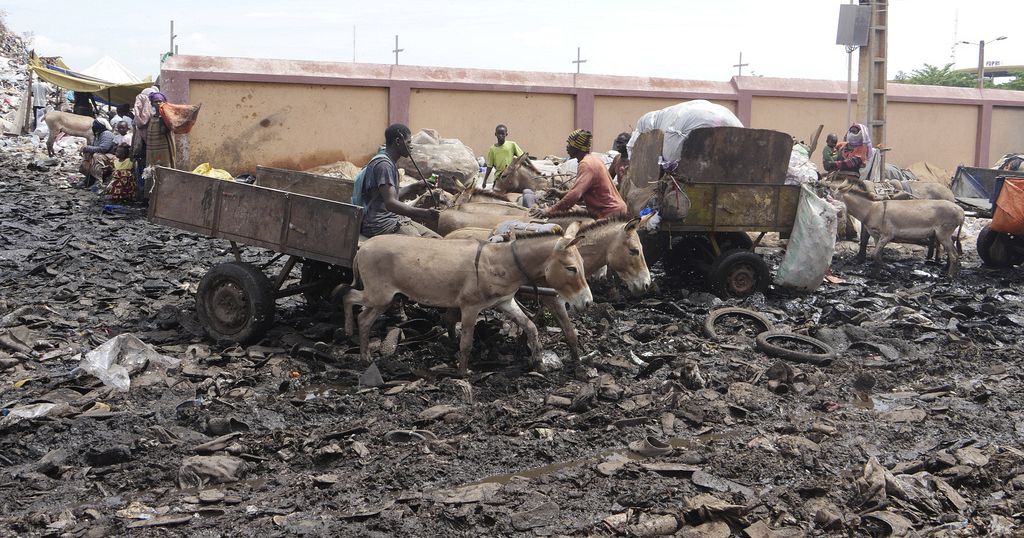 Donkey carts used to collect household garbage in Bamako