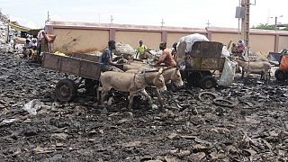 Donkey carts used to collect household garbage in Bamako