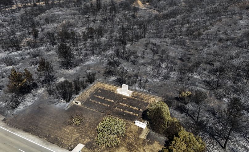 Parte de la zona del incendio forestal extinguido en la playa de Anzac Cove, cerca de Canakkale, Turquía, viernes 16 de agosto de 2024.