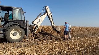 Seca na Roménia preocupa agricultores