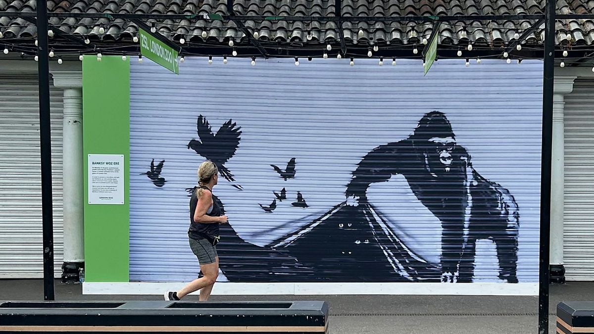 'Banksy woz ere': London Zoo removes elusive street artist's gorilla mural for 'safekeeping'