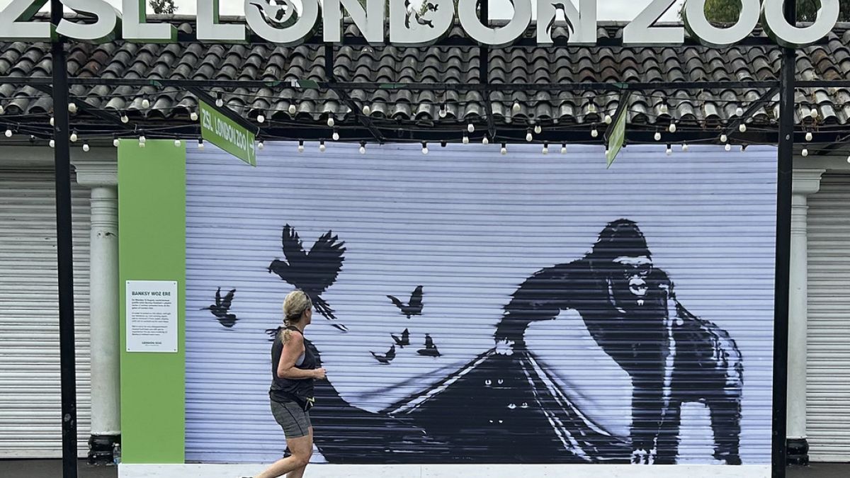 Les animaux sauvages de Banksy ont fait sensation à Londres