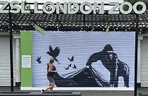 Imagen de la obra de Banksy en uno de los puntos de acceso al zoo de Londres.