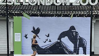 Mural de Banksy no zoo de Londres