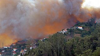 Incêndio na Madeira conta com duas frentes ativas. Habitações já não estão em risco 