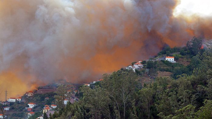 Europa: incendi in Francia e Portogallo con diverse evacuazioni