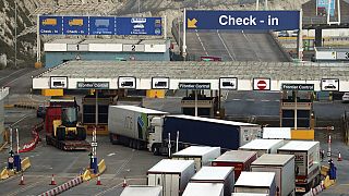 In the UK and elsewhere, there are concerns that the EES could increase delays at border checkpoints.