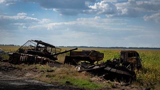 Подбитые российские танки под Суджей, Курская область, 16 августа 2024 года. 