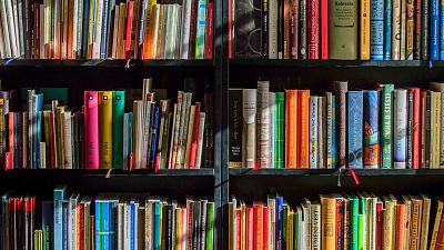 Books in a library shelf 