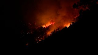 O incêndio na Madeira começou na quarta-feira. 