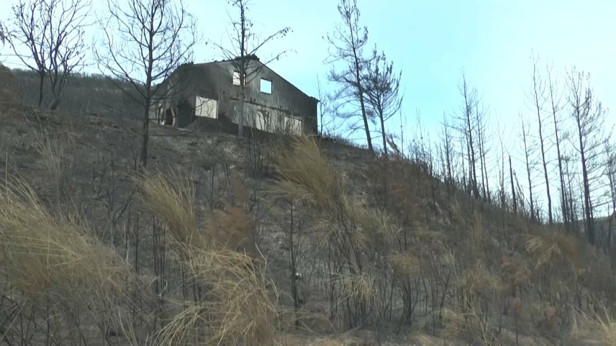 Superficie quemada por incendios en Portugal. 