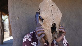 Zimbabwe : d'anciens braconniers protègent désormais les animaux