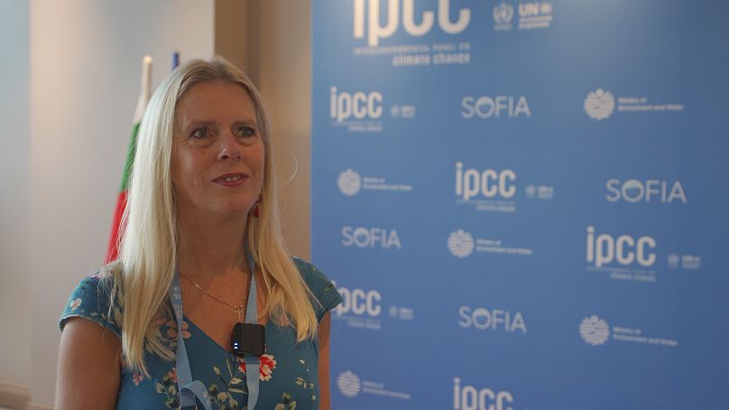 Diana Ürge Vorsatz, Vice-Presidente do Painel Intergovernamental sobre as Alterações Climáticas