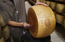 Quality control employee inspects a Parmigiano Reggiano Parmesan cheese in Noceto, Parma, Italy, Tuesday, Oct. 8, 2019.