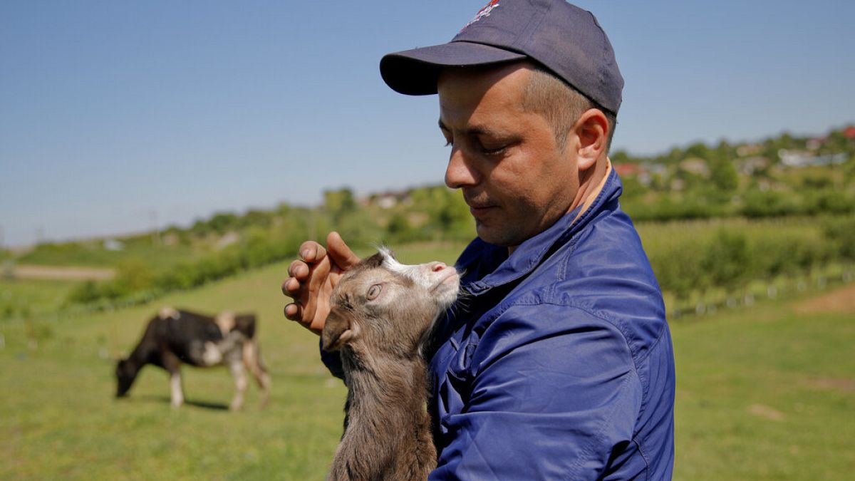  Agricultor em Luncavita, na Roménia, 21 de maio, 2019