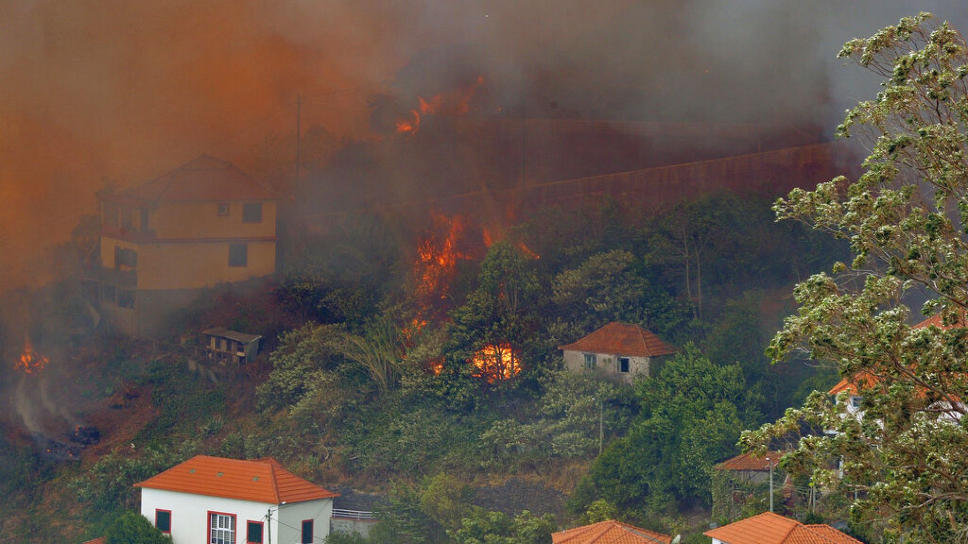 Madeira brucia e il suo presidente è in vacanza: 'Nessuno può darmi lezioni'