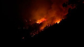 Incêndio na ilha da Madeira, Portugal