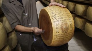 Bir kalite kontrolcü, İtalya'da bir Parmigiano Reggiano Parmesan peynirini inceliyor, 8 Ekim 2019.