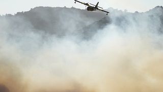 Incêndio na Madeira: ajuda da UE chega a território português