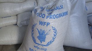 Sudan:  WFP and IOM aid trucks enter Sudan from Chad