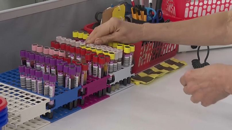 A doctor sorts through blood samples at a hospital in Northumberland, August 21, 2024