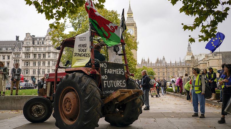 Una bandera de la UE se ve durante una marcha para exigir más ambición del gobierno en la política alimentaria y agrícola del Reino Unido, en Londres, sábado, 15 de octubre de