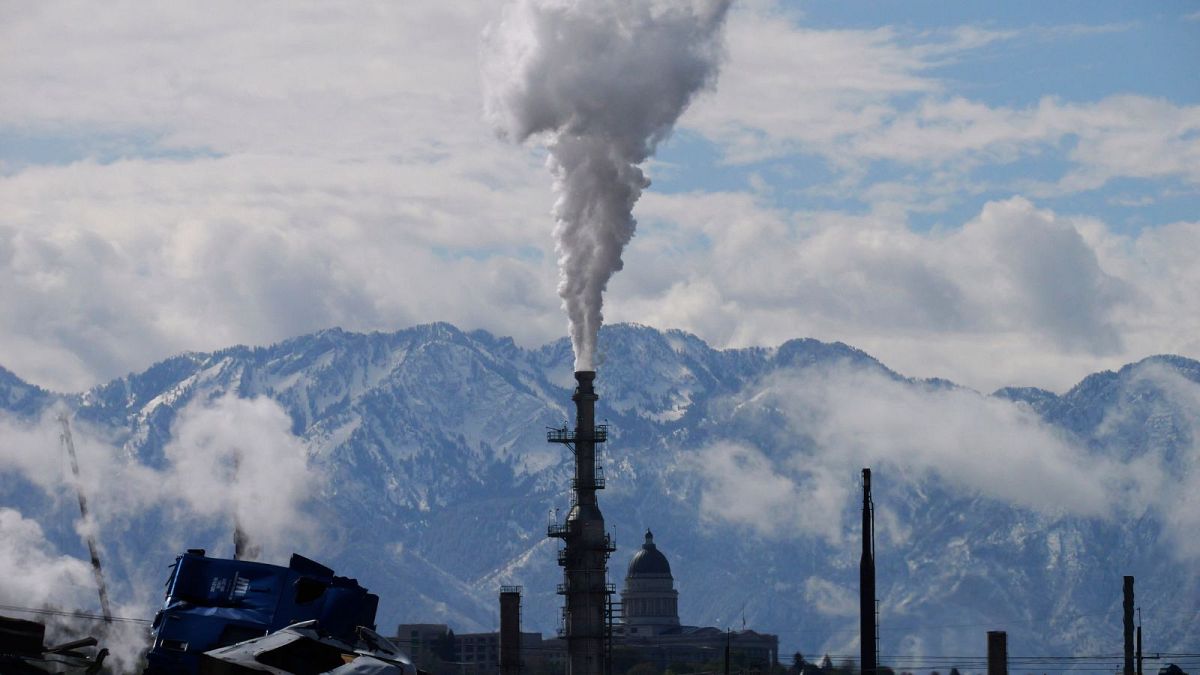 Study confirms: Making the polluter pay is the best way to solve the climate problem