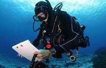 National Geographic Pristine Seas senior marine researcher Alan Friedlander conducting an underwater dive survey.,