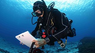 National Geographic Pristine Seas senior marine researcher Alan Friedlander conducting an underwater dive survey.,