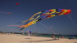 Kites of various shapes, colors, and sizes fill the skies