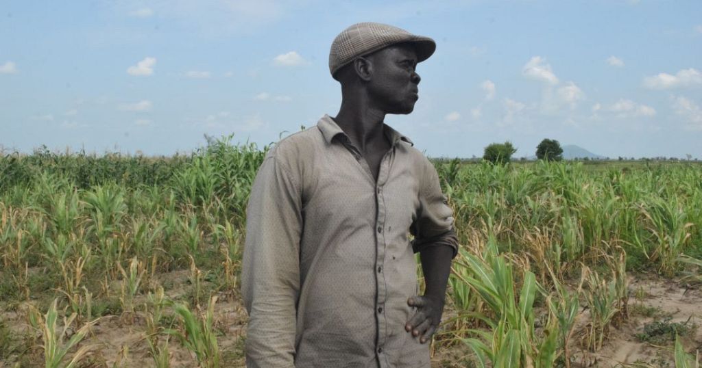 Food security fears as rain stays away in northern Cameroon