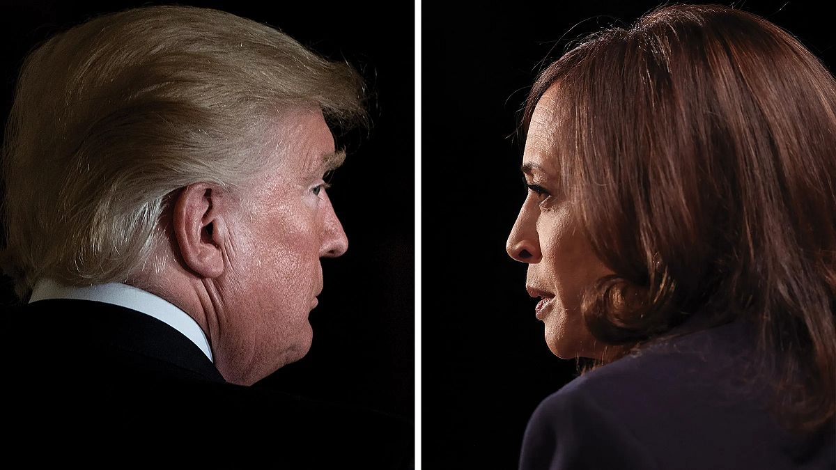 Trump vs Harris: Who’s leading in the US presidential election polls?