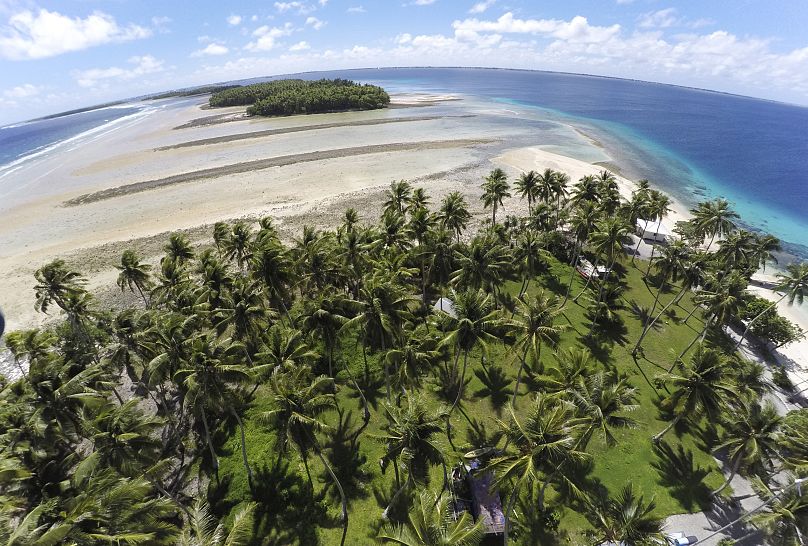 A section of land between trees is washed away due to rising seas.