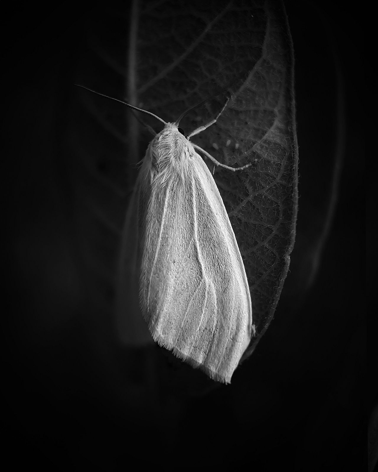 'Spirit at Rest' by Scott Galloway (Nature category, 2nd place) 