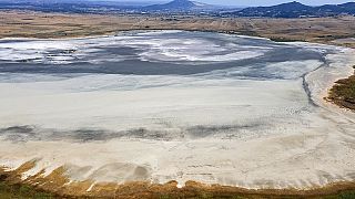 Il lago Picrolimni prosciugato, vicino al villaggio di Mikrokampos, Grecia settentrionale - 19 agosto 2024