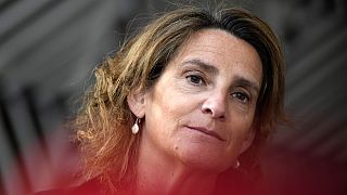 Teresa Ribera in un'immagine d'archivio. 