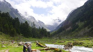 El otoño es perfecto para un paseo por la naturaleza