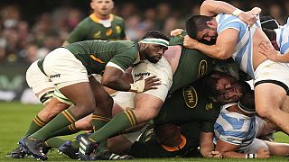 Springboks upbeat on rematch against All Blacks on Saturday