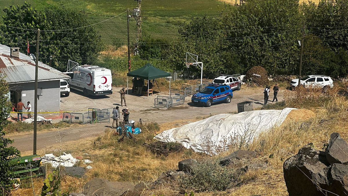 Narin Güran'ın ikamet ettiği ev, Tavşantepe Mahallesi, Diyarbakır