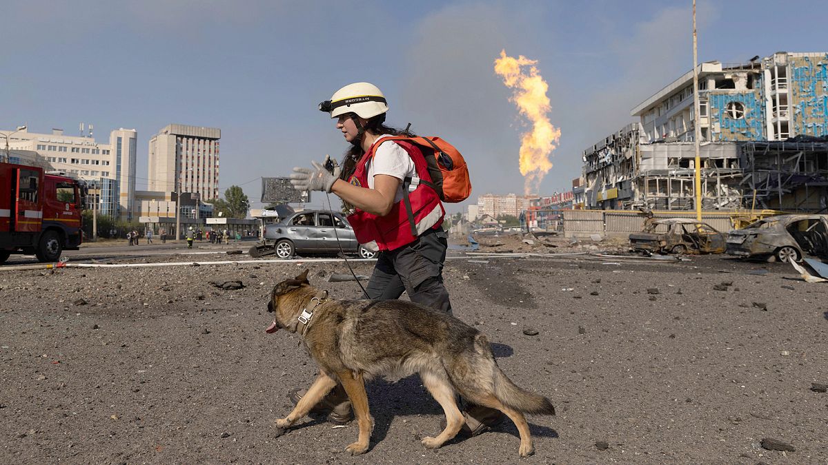 FILE: A rescue dog handler walks in front of a business center damaged by a Russian attack in Kharkiv, 1 September 2024