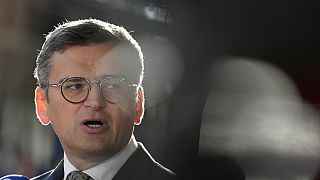 Der ukrainische Außenminister Dmytro Kuleba hat am Mittwoch den Rücktritt eingereicht.