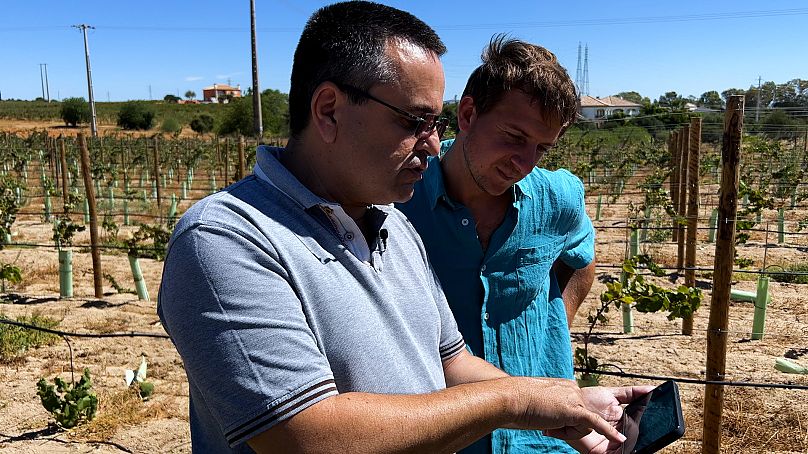 Sensors monitor soil humidity levels in real time to water only when necessary