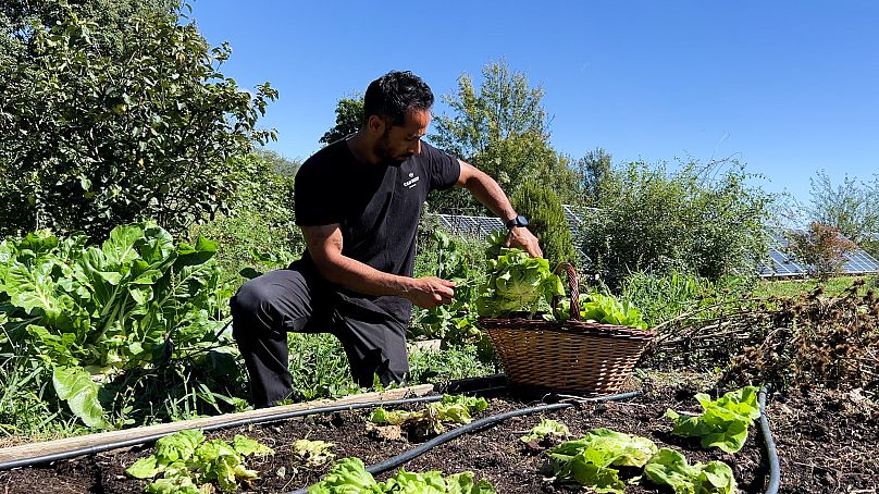 O hotel Can Buch aposta na permacultura e na agricultura regenerativa