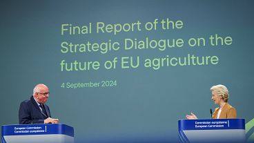 Le rapport final approuvé par consensus par tous les membres a été présenté aujourd'hui à Mme von der Leyen par le président, le professeur allemand Peter Strohschneider.