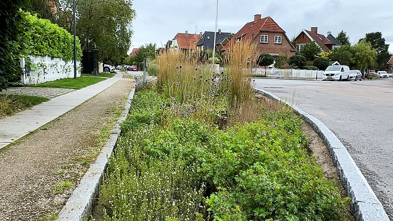 Instalação de canteiros de chuva numa zona residencial de Copenhaga